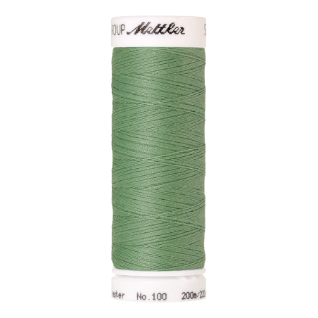Le modèle de Fil à coudre Mettler Seralon 200m 0219 Vert menthe givré - 1678 -  1678-0219