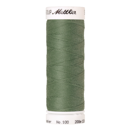 Le modèle de Fil à coudre Mettler Seralon 200m 0646 Feuille de palmier - 1678 -